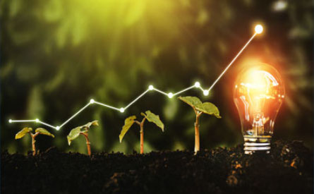 Four seedlings and a lit lightbulb in a row, green graph floating above.