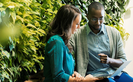 Two office workers looking at a laptop and sitting in front of green leaves