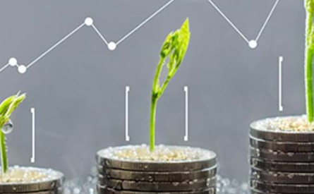 Photo of seedlings atop three stacks of coins