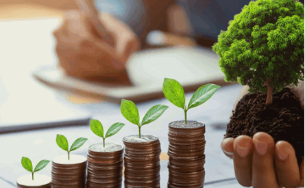 Photo of seedlings atop stacks of coins and a hand holing and small tree