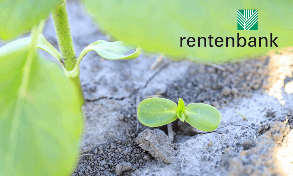 Rentenbank imagery