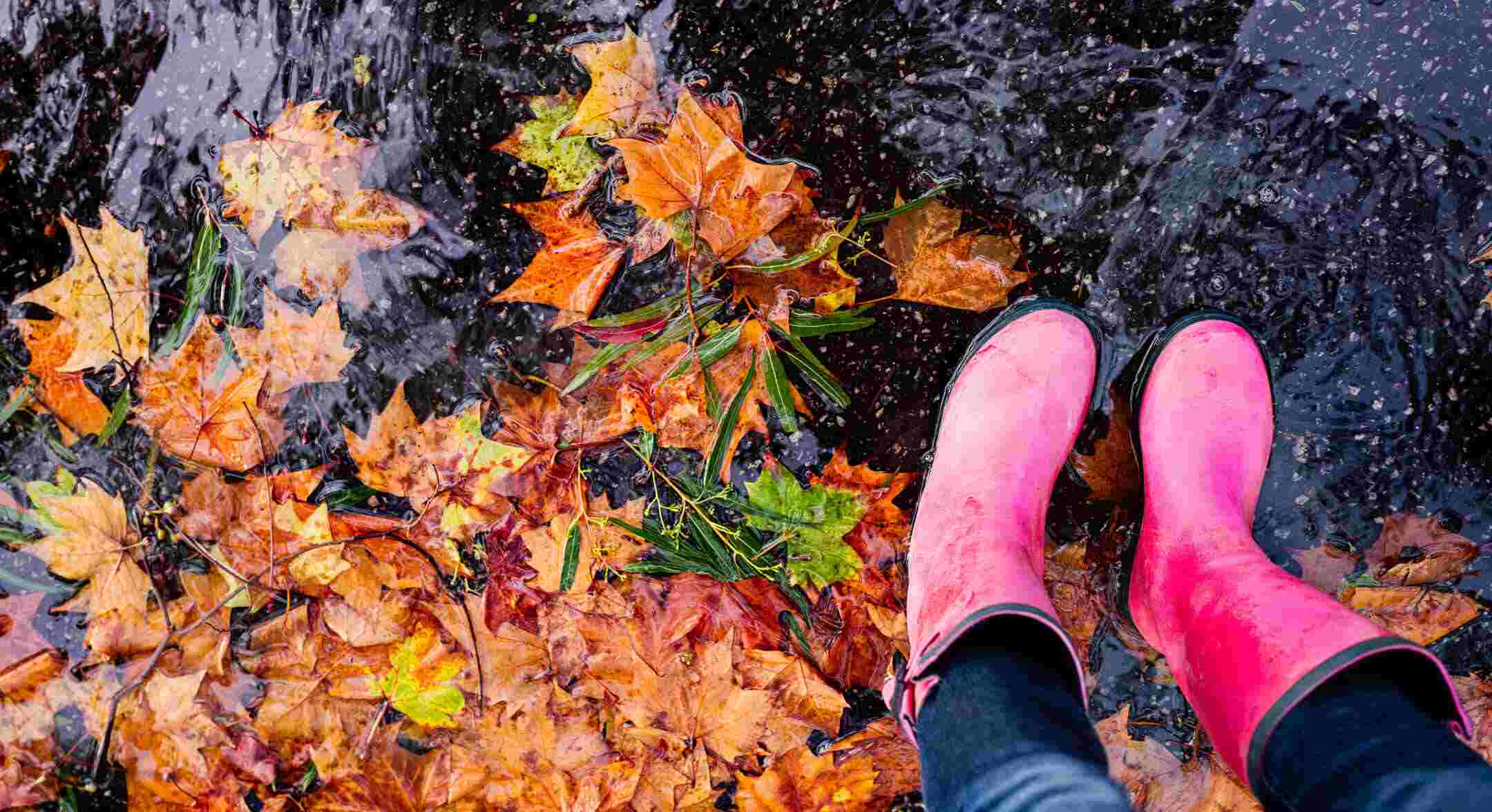 Wellington boots in the rain